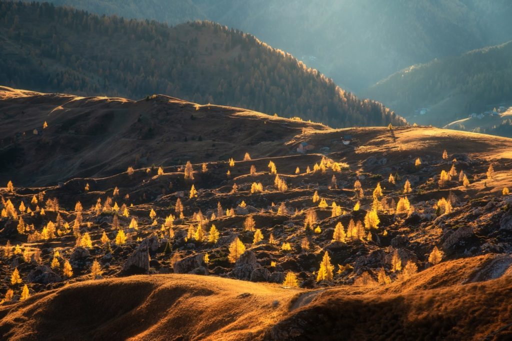 Beratungsteam von AurumCare im Gespräch über Managementstrategien im Gesundheitswesen.